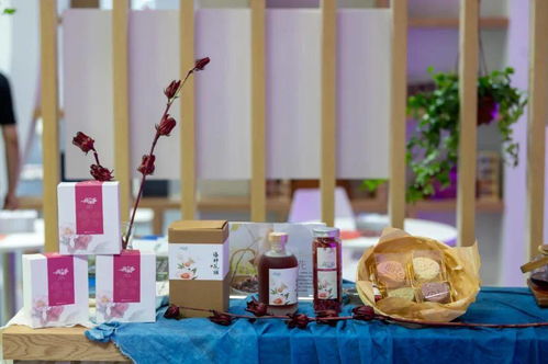 韶关双星闪耀文博会 创意大赛获奖背后的艺术策划启示