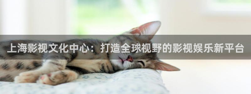 老湿影院免费在线观看视频：上海影视文化中心：打造全球视野的影视娱乐新平台