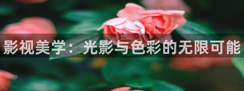 老湿影院48试