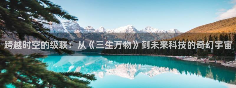 老湿