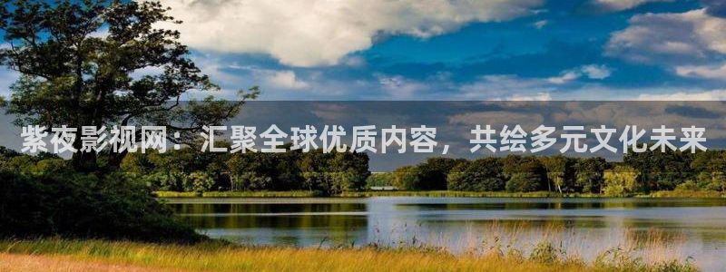 老湿影视在线播放：紫夜影视网：汇聚全球优质内容，共绘多元文化未来
