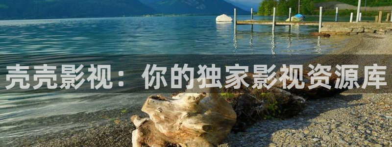 老湿机私人影院：壳壳影视：你的独家影视资源库