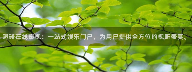 老湿影院下载：超碰在线影视：一站式娱乐门户，为用户提供全方位的视听盛宴。