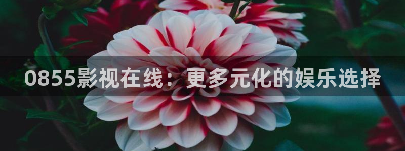 老湿影院十分钟免费：0855影视在线：更多元化的娱乐选择