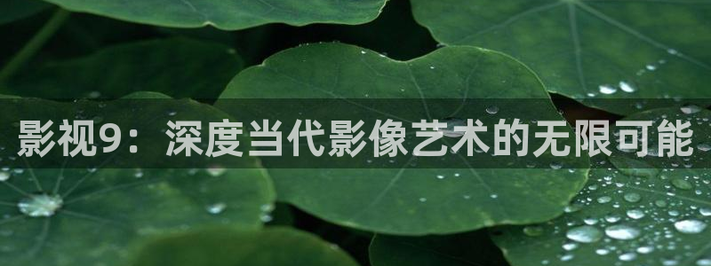 老湿影院福利院：影视9：深度当代影像艺术的无限可能