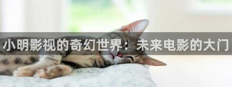 老湿a影院：小明影视的奇幻世界：未来电影的大门