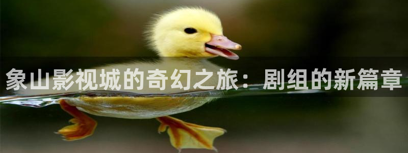 老湿影院试看区：象山影视城的奇幻之旅：剧组的新篇章