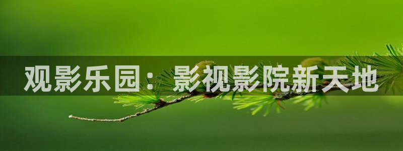 老湿电影免费：观影乐园：影视影院新天地