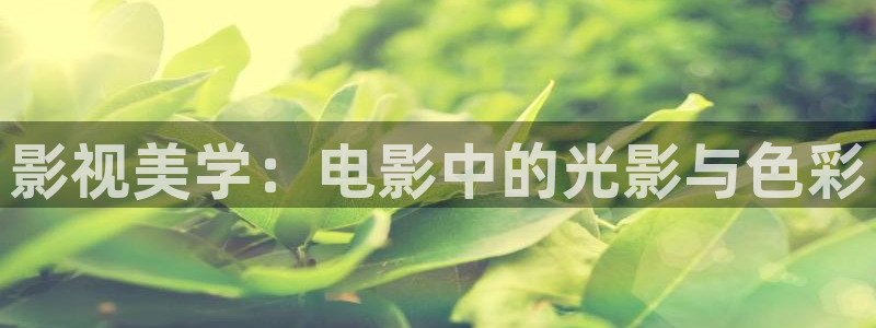 老湿影院未满十八岁：影视美学：电影中的光影与色彩
