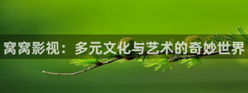 老湿污影院：窝窝影视：多元文化与艺术的奇妙世界